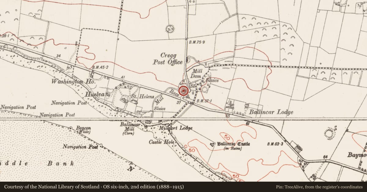 Ordnance Survey six-inch map, 2nd edition (1888–1915) covering the location of Ringfort - rath, Cregg, County Sligo, with a pin at the register's coordinates