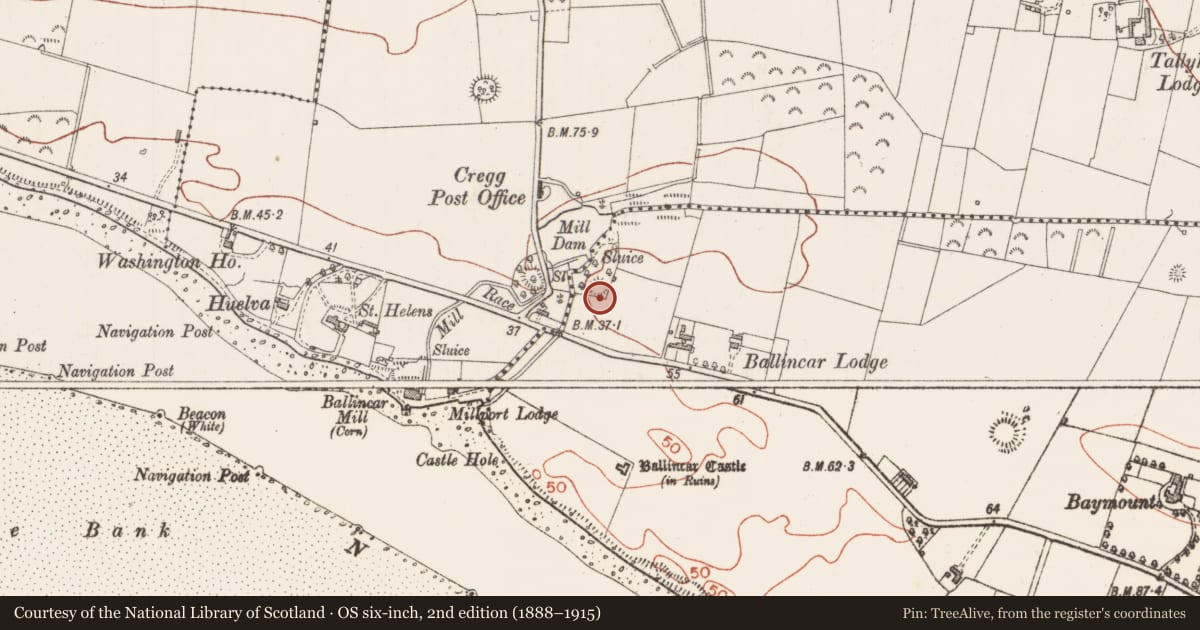 Ordnance Survey six-inch map, 2nd edition (1888–1915) covering the location of Ringfort - rath, Ballincar, County Sligo, with a pin at the register's coordinates