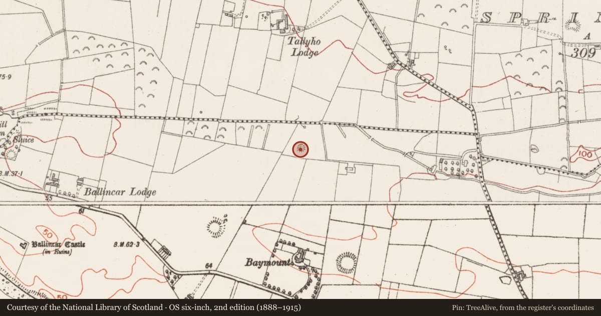 Ordnance Survey six-inch map, 2nd edition (1888–1915) covering the location of Enclosure, Ballincar, County Sligo, with a pin at the register's coordinates