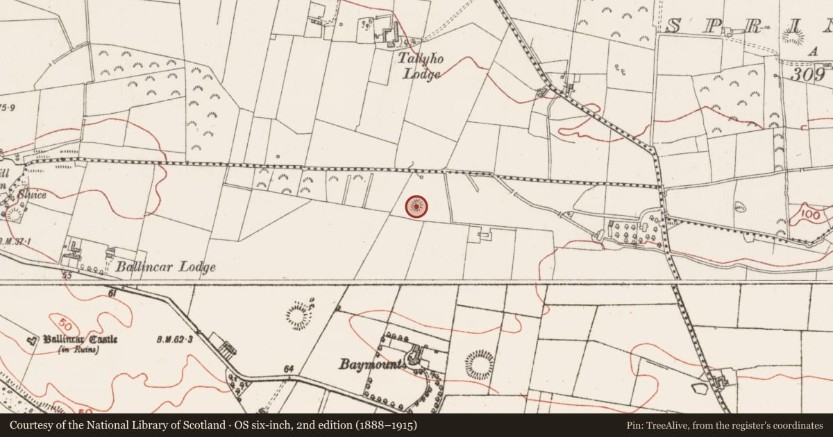 Ordnance Survey six-inch map, 2nd edition (1888–1915) covering the location of Hut site, Ballincar, County Sligo, with a pin at the register's coordinates