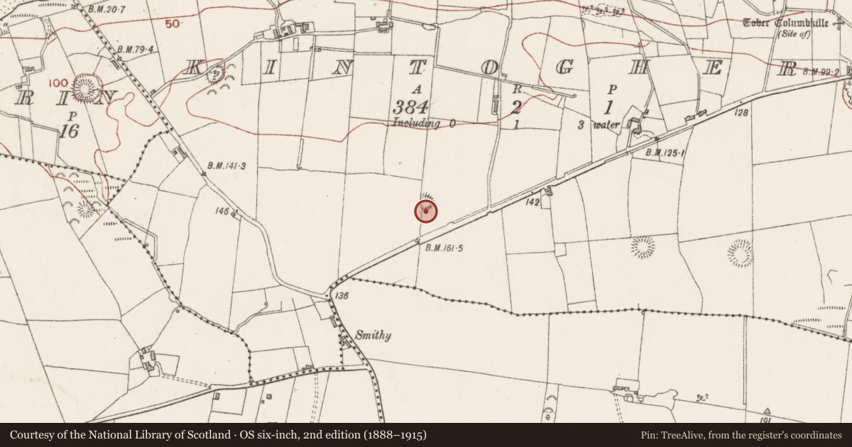 Ordnance Survey six-inch map, 2nd edition (1888–1915) covering the location of Ringfort - rath, Kintogher, County Sligo, with a pin at the register's coordinates