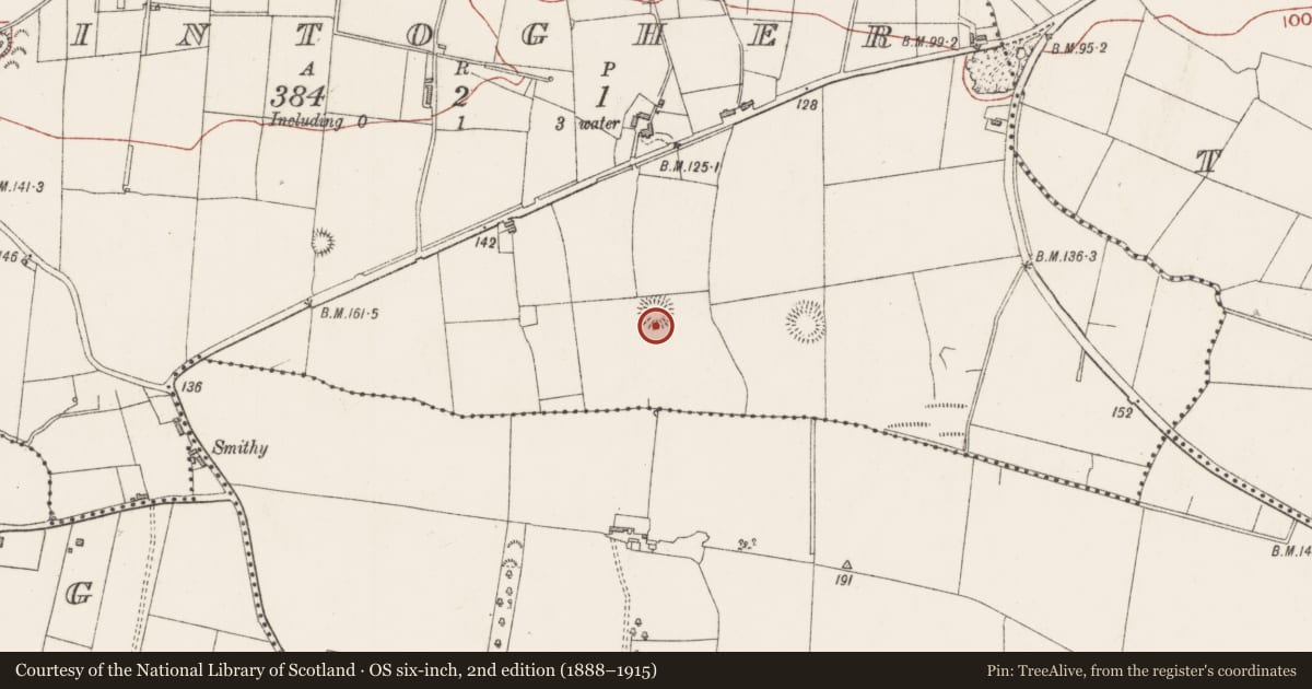 Ordnance Survey six-inch map, 2nd edition (1888–1915) covering the location of Ringfort - rath, Kintogher, County Sligo, with a pin at the register's coordinates