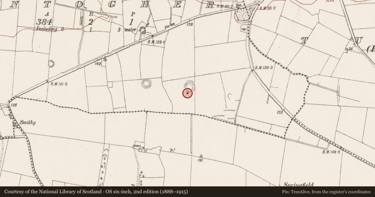 Ordnance Survey six-inch map, 2nd edition (1888–1915) covering the location of Ringfort - unclassified, Kintogher, County Sligo, with a pin at the register's coordinates