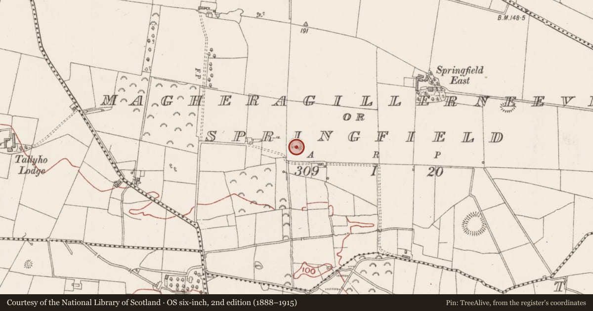 Ordnance Survey six-inch map, 2nd edition (1888–1915) covering the location of Ringfort - rath, Magheragillerneeve Or Springfield, County Sligo, with a pin at the register's coordinates