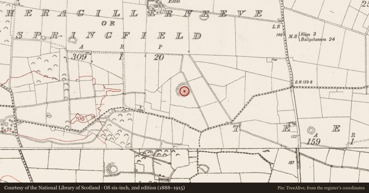 Ordnance Survey six-inch map, 2nd edition (1888–1915) covering the location of Ringfort - rath, Magheragillerneeve Or Springfield, County Sligo, with a pin at the register's coordinates