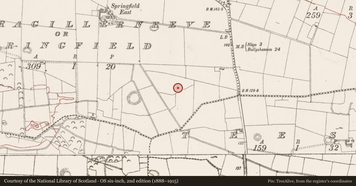 Ordnance Survey six-inch map, 2nd edition (1888–1915) covering the location of Enclosure, Magheragillerneeve Or Springfield, County Sligo, with a pin at the register's coordinates