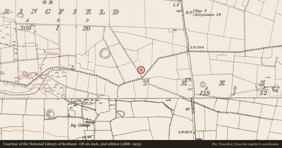 Ordnance Survey six-inch map, 2nd edition (1888–1915) covering the location of Road - road/trackway, Magheragillerneeve Or Springfield, County Sligo, with a pin at the register's coordinates