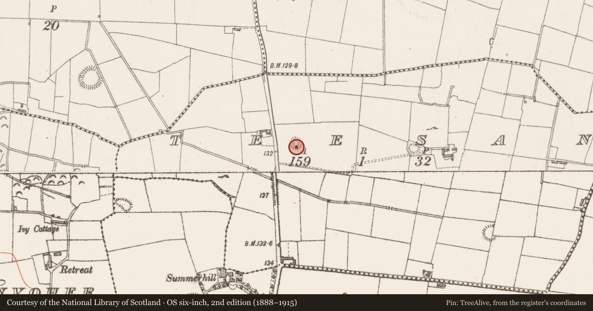 Ordnance Survey six-inch map, 2nd edition (1888–1915) covering the location of Ringfort - rath, Teesan, County Sligo, with a pin at the register's coordinates