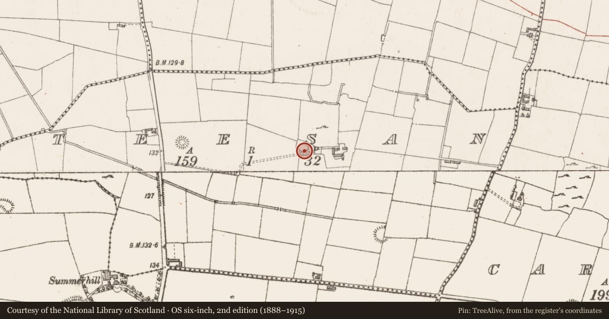 Ordnance Survey six-inch map, 2nd edition (1888–1915) covering the location of Ringfort - unclassified, Teesan, County Sligo, with a pin at the register's coordinates