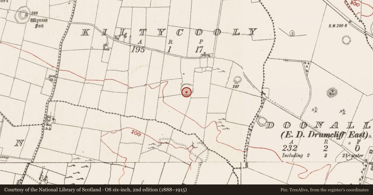 Ordnance Survey six-inch map, 2nd edition (1888–1915) covering the location of Ringfort - rath, Kiltycooly, County Sligo, with a pin at the register's coordinates