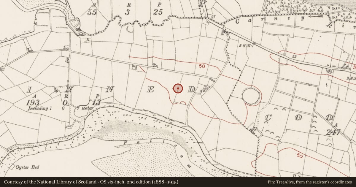 Ordnance Survey six-inch map, 2nd edition (1888–1915) covering the location of Souterrain, Finned, County Sligo, with a pin at the register's coordinates
