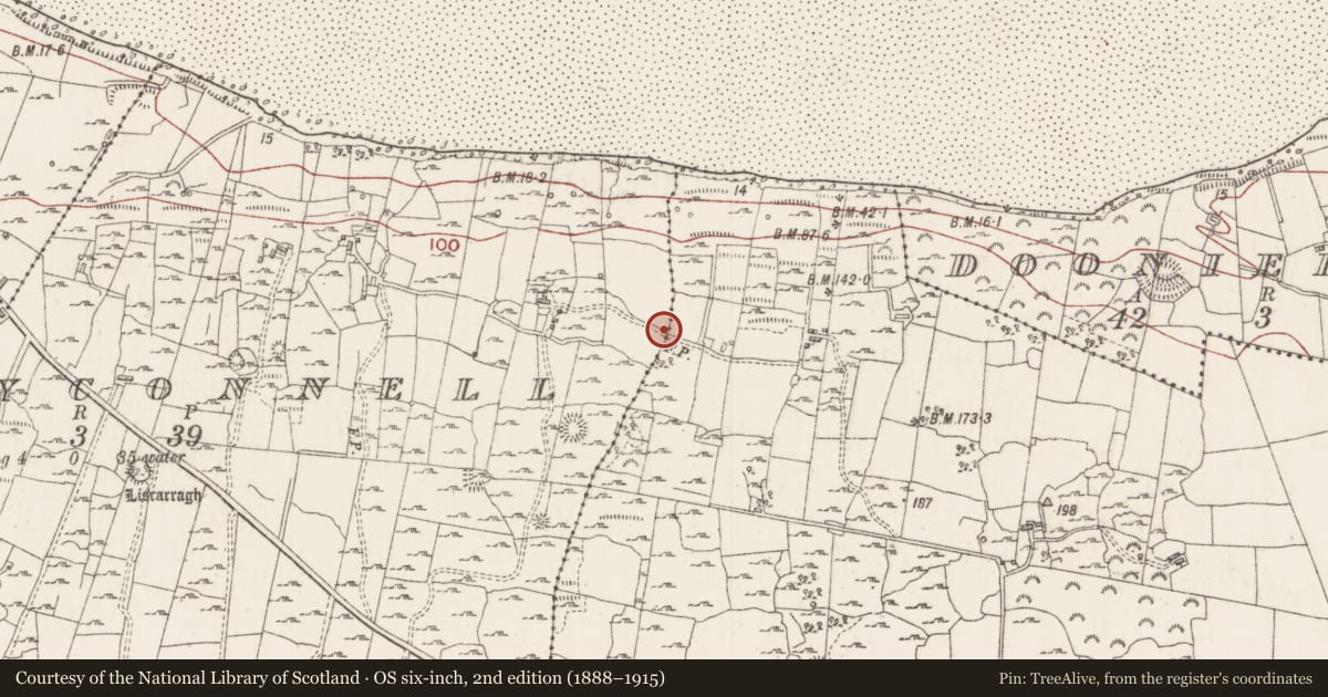 Ordnance Survey six-inch map, 2nd edition (1888–1915) covering the location of Road - road/trackway, Creggyconnell, County Sligo, with a pin at the register's coordinates