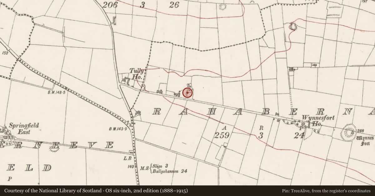 Ordnance Survey six-inch map, 2nd edition (1888–1915) covering the location of Ringfort - rath, Rahaberna, County Sligo, with a pin at the register's coordinates
