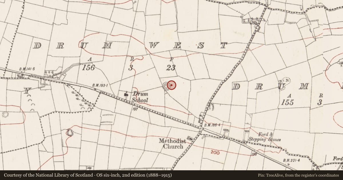 Ordnance Survey six-inch map, 2nd edition (1888–1915) covering the location of Ringfort - rath, Drum West, County Sligo, with a pin at the register's coordinates