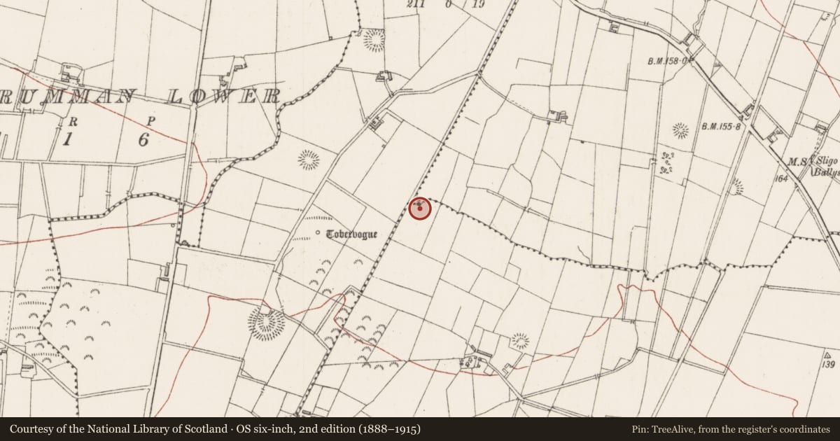 Ordnance Survey six-inch map, 2nd edition (1888–1915) covering the location of Enclosure, Gortarowey, County Sligo, with a pin at the register's coordinates