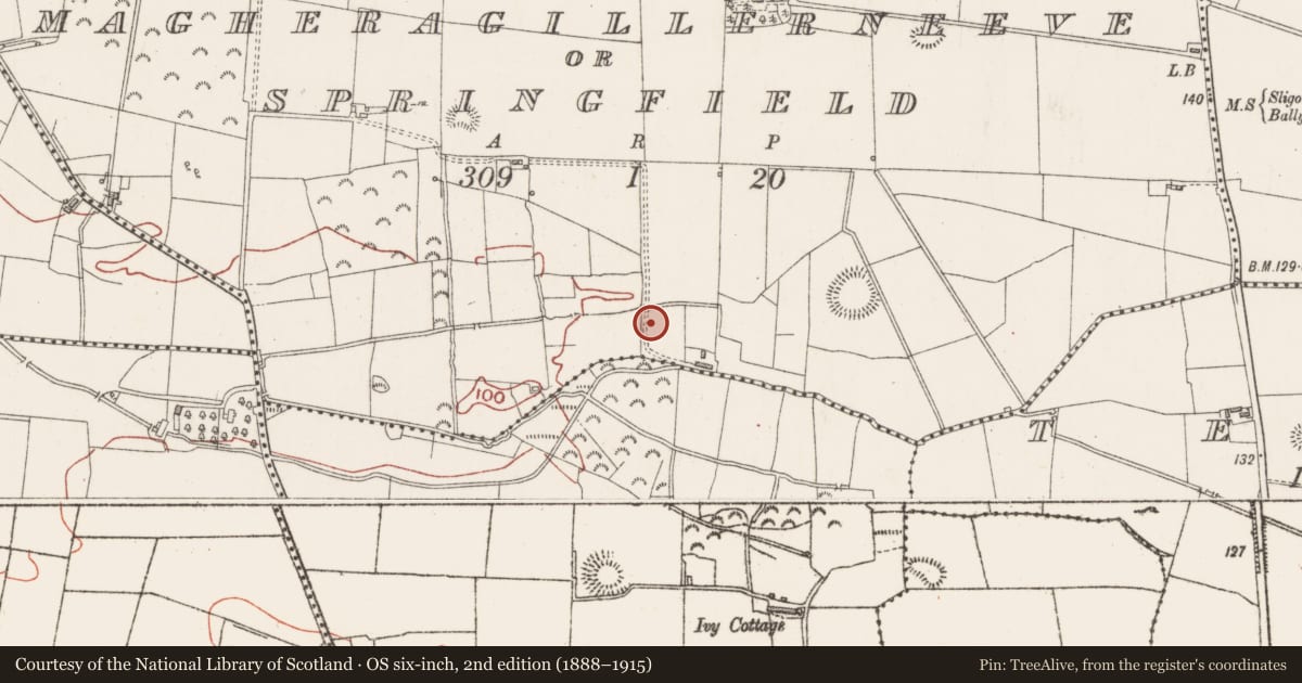 Ordnance Survey six-inch map, 2nd edition (1888–1915) covering the location of Fulacht fia, Magheragillerneeve Or Springfield, County Sligo, with a pin at the register's coordinates