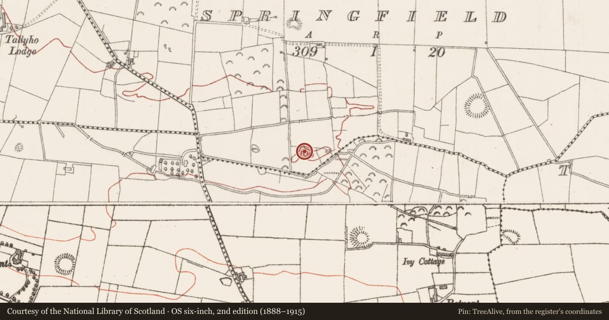Ordnance Survey six-inch map, 2nd edition (1888–1915) covering the location of Fulacht fia, Magheragillerneeve Or Springfield, County Sligo, with a pin at the register's coordinates