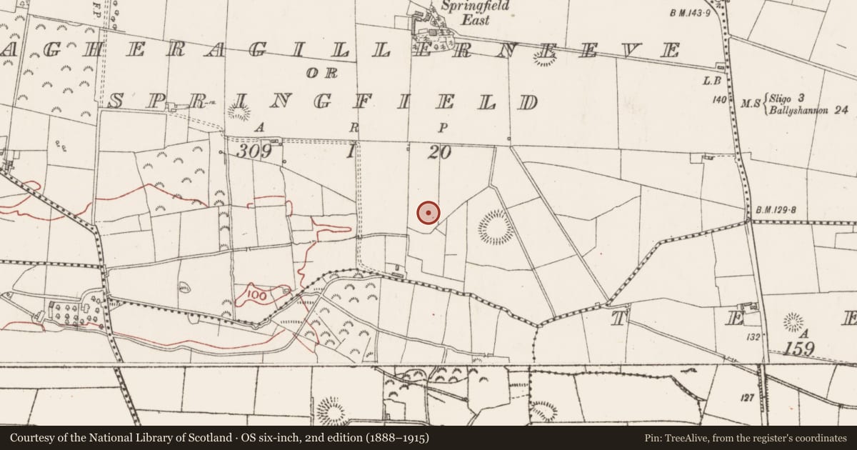 Ordnance Survey six-inch map, 2nd edition (1888–1915) covering the location of Enclosure, Magheragillerneeve Or Springfield, County Sligo, with a pin at the register's coordinates