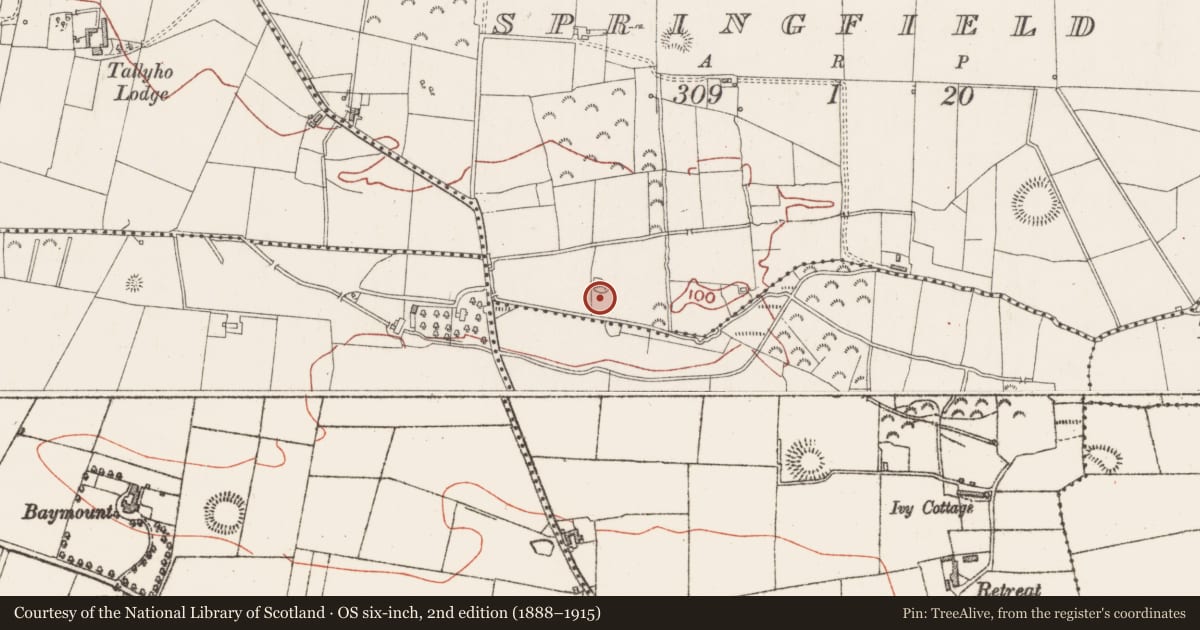 Ordnance Survey six-inch map, 2nd edition (1888–1915) covering the location of Enclosure, Magheragillerneeve Or Springfield, County Sligo, with a pin at the register's coordinates