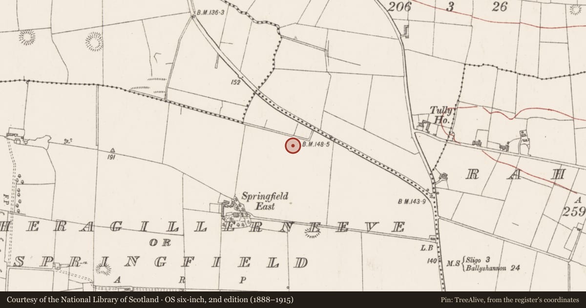 Ordnance Survey six-inch map, 2nd edition (1888–1915) covering the location of Fulacht fia, Magheragillerneeve Or Springfield, County Sligo, with a pin at the register's coordinates