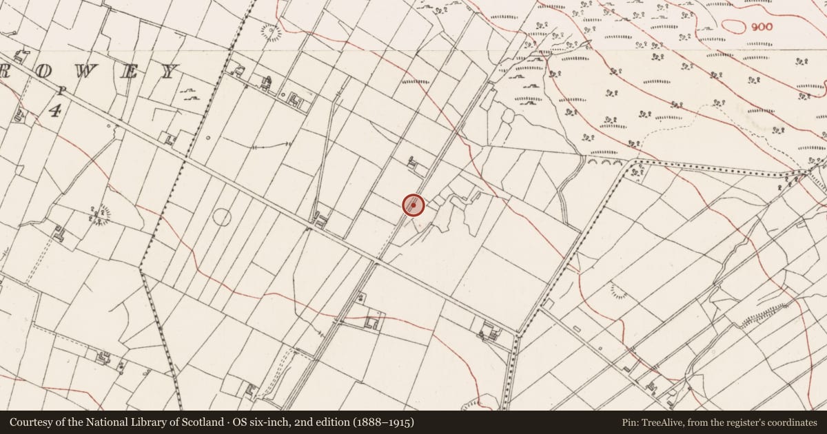 Ordnance Survey six-inch map, 2nd edition (1888–1915) covering the location of Fulacht fia, Barnarobin, County Sligo, with a pin at the register's coordinates