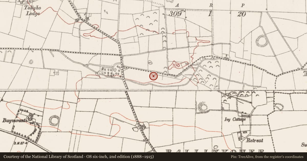 Ordnance Survey six-inch map, 2nd edition (1888–1915) covering the location of Enclosure, Magheragillerneeve Or Springfield, County Sligo, with a pin at the register's coordinates