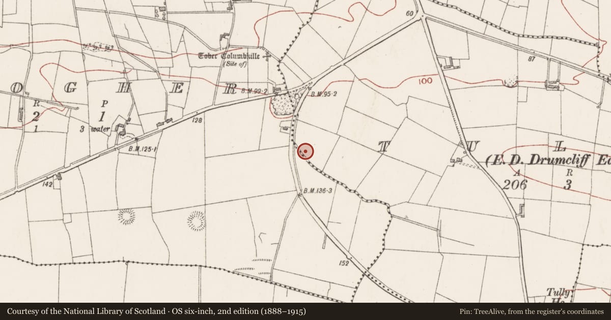 Ordnance Survey six-inch map, 2nd edition (1888–1915) covering the location of Barrow - pond barrow, Tully, County Sligo, with a pin at the register's coordinates