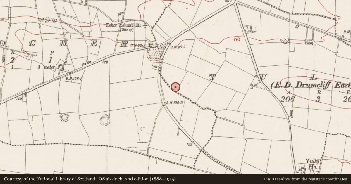 Ordnance Survey six-inch map, 2nd edition (1888–1915) covering the location of Enclosure, Tully, County Sligo, with a pin at the register's coordinates