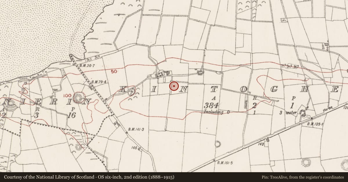 Ordnance Survey six-inch map, 2nd edition (1888–1915) covering the location of Ritual site - holy well, Kintogher, County Sligo, with a pin at the register's coordinates