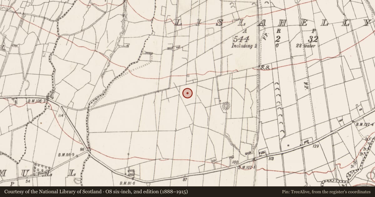 Ordnance Survey six-inch map, 2nd edition (1888–1915) covering the location of Enclosure, Lislahelly, County Sligo, with a pin at the register's coordinates