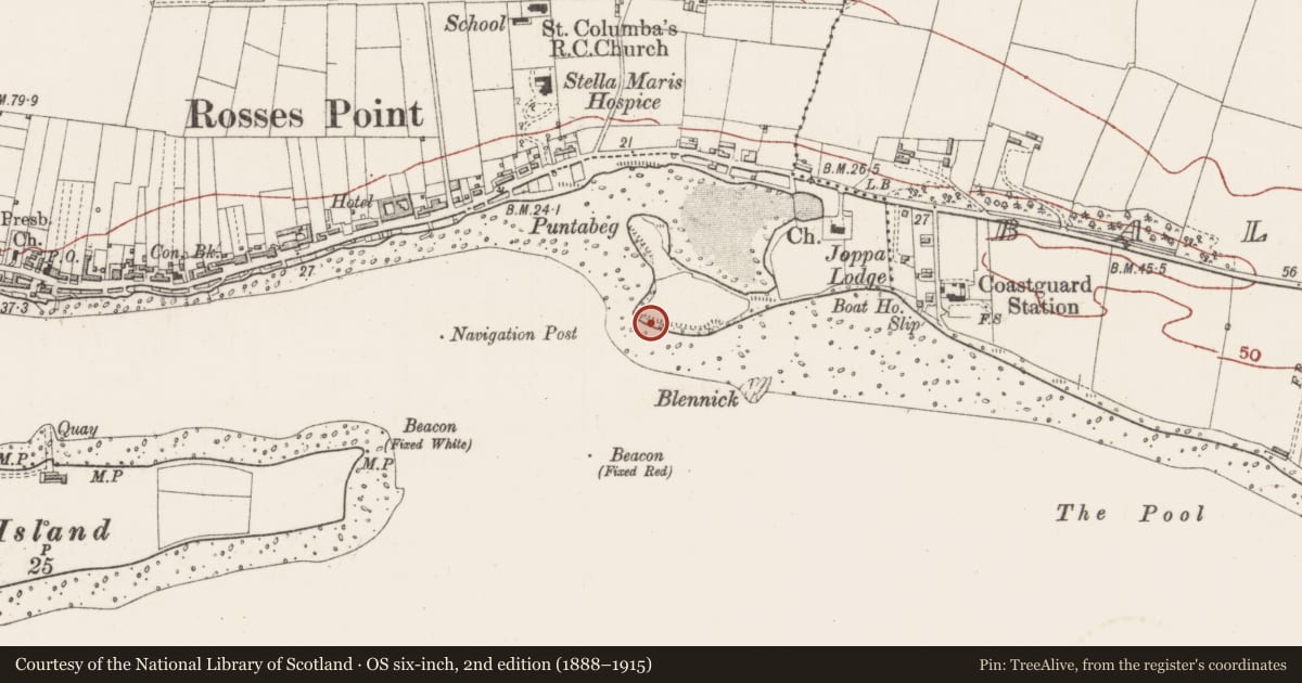 Ordnance Survey six-inch map, 2nd edition (1888–1915) covering the location of Midden, Rosses Upper, County Sligo, with a pin at the register's coordinates