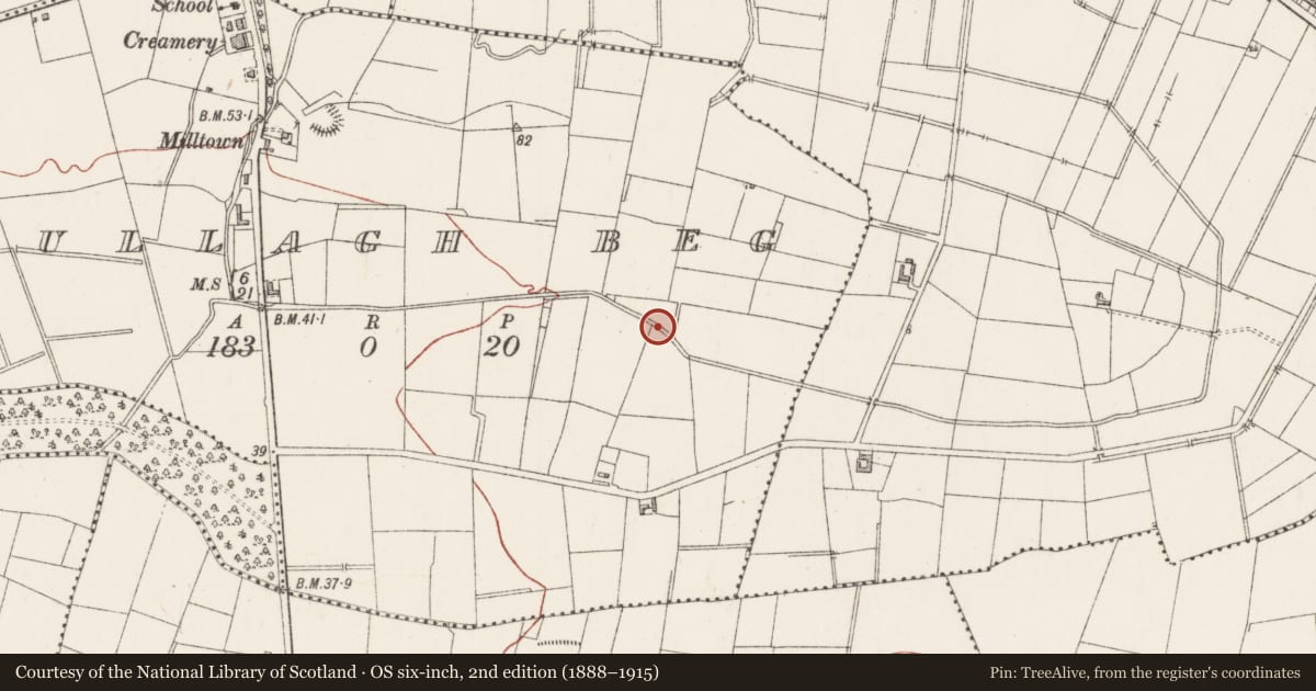 Ordnance Survey six-inch map, 2nd edition (1888–1915) covering the location of Burnt mound, Cullagh Beg, County Sligo, with a pin at the register's coordinates