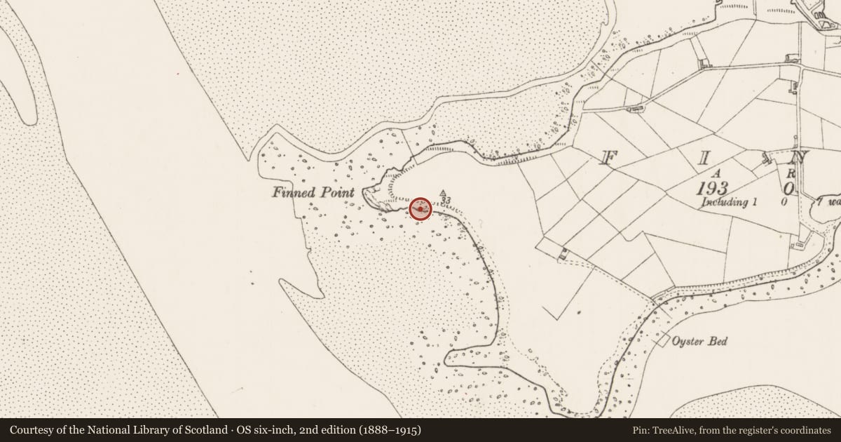 Ordnance Survey six-inch map, 2nd edition (1888–1915) covering the location of Midden, Finned, County Sligo, with a pin at the register's coordinates