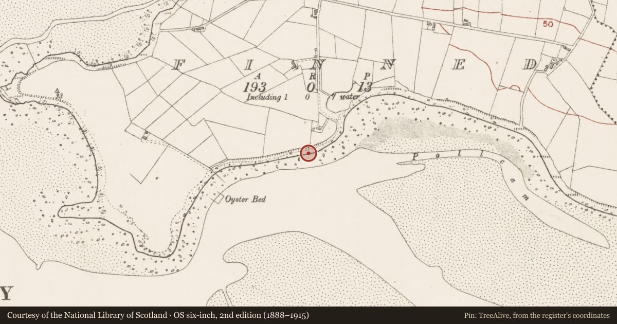 Ordnance Survey six-inch map, 2nd edition (1888–1915) covering the location of Midden, Finned, County Sligo, with a pin at the register's coordinates