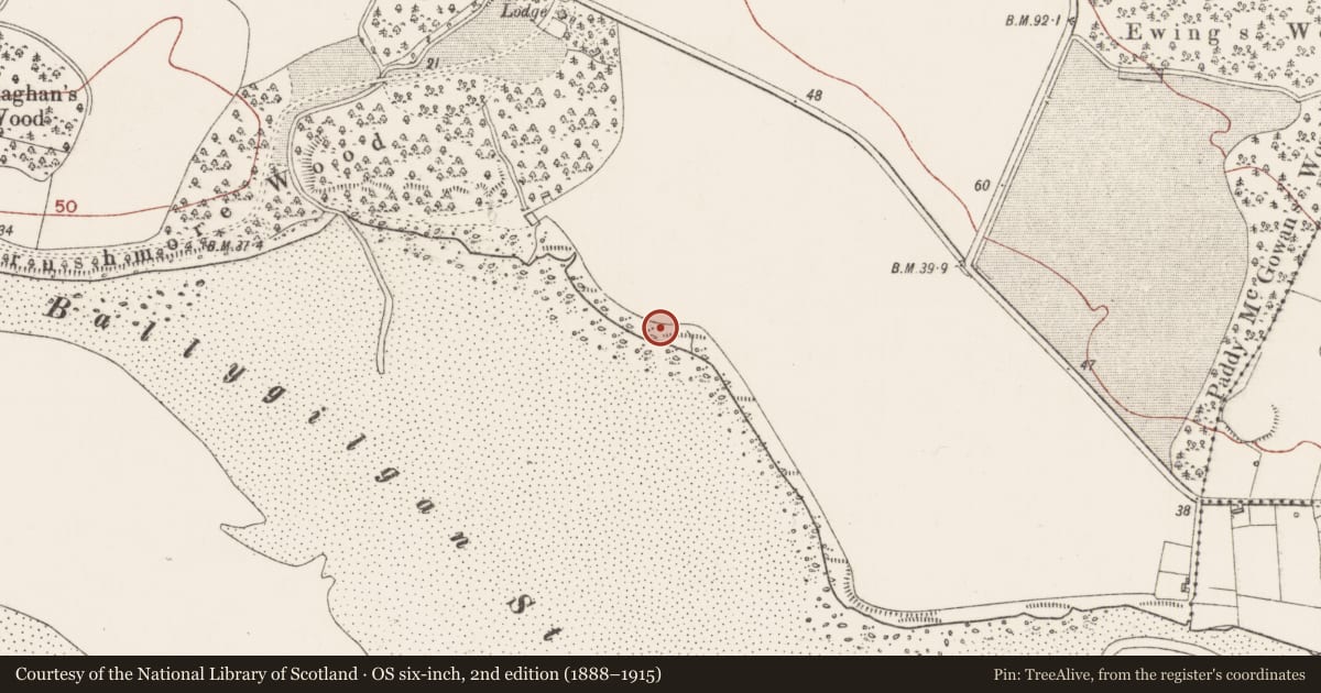 Ordnance Survey six-inch map, 2nd edition (1888–1915) covering the location of Midden, Ballygilgan, County Sligo, with a pin at the register's coordinates