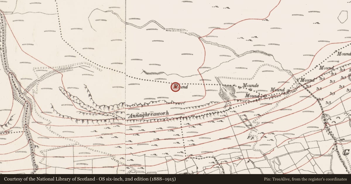 Ordnance Survey six-inch map, 2nd edition (1888–1915) covering the location of Boundary mound, Lislahelly, Slievemore Or Kingsmountain, County Sligo, with a pin at the register's coordinates
