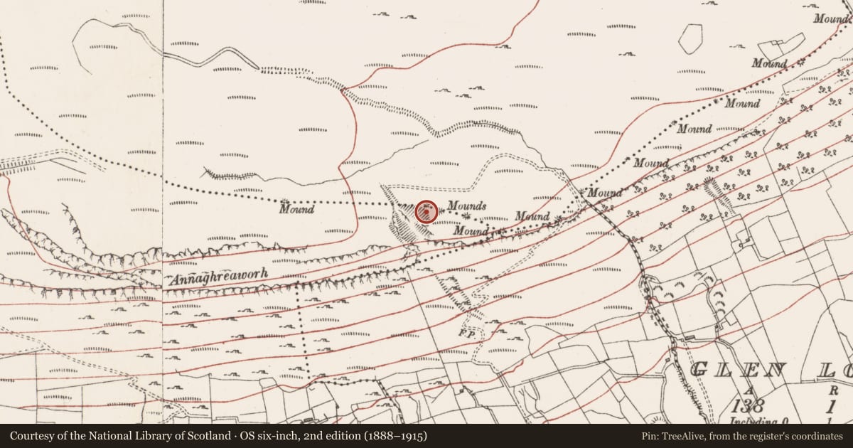 Ordnance Survey six-inch map, 2nd edition (1888–1915) covering the location of Boundary mound, Slievemore Or Kingsmountain, Creaghadoo, County Sligo, with a pin at the register's coordinates