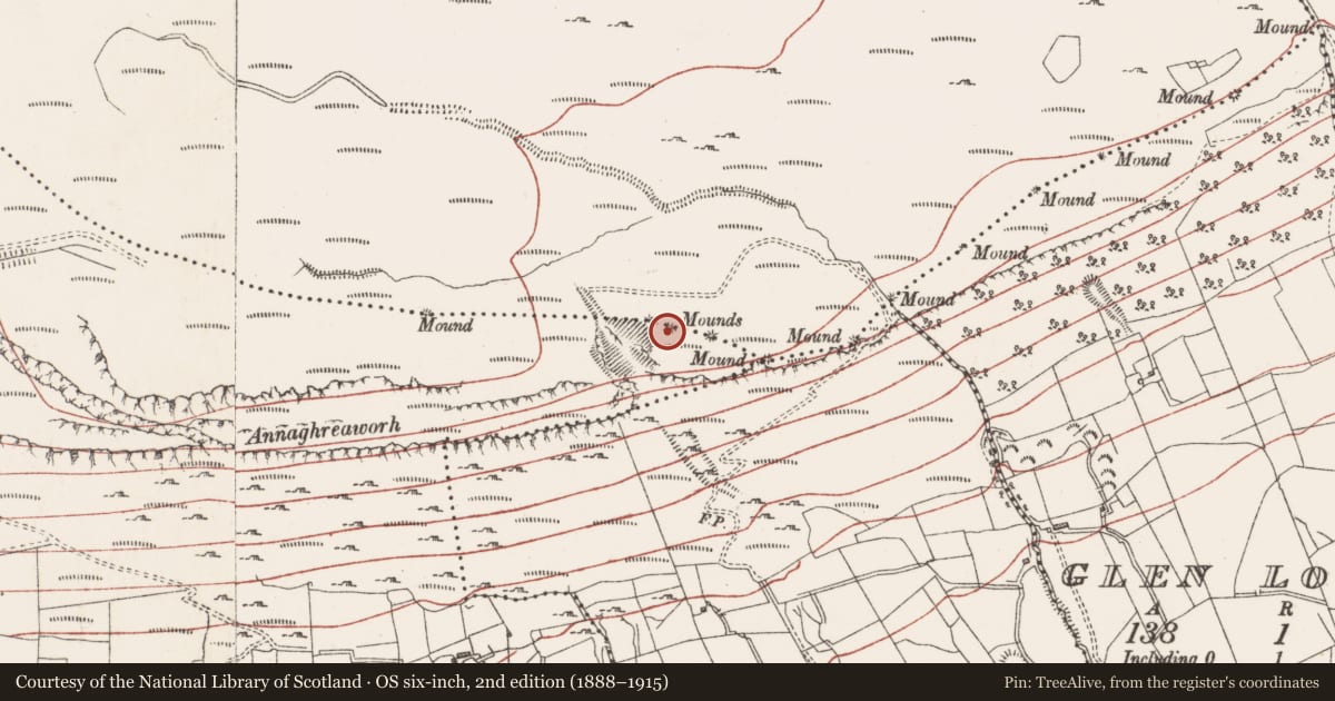 Ordnance Survey six-inch map, 2nd edition (1888–1915) covering the location of Boundary mound, Slievemore Or Kingsmountain, Creaghadoo, County Sligo, with a pin at the register's coordinates