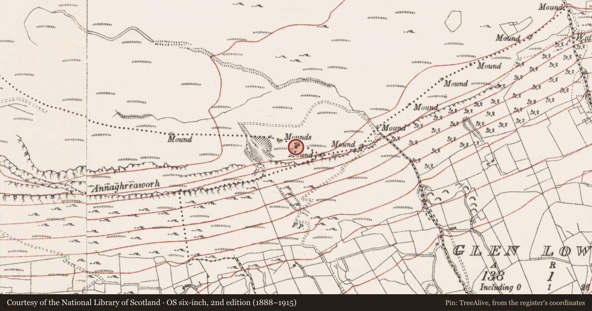 Ordnance Survey six-inch map, 2nd edition (1888–1915) covering the location of Boundary mound, Slievemore Or Kingsmountain, Creaghadoo, County Sligo, with a pin at the register's coordinates
