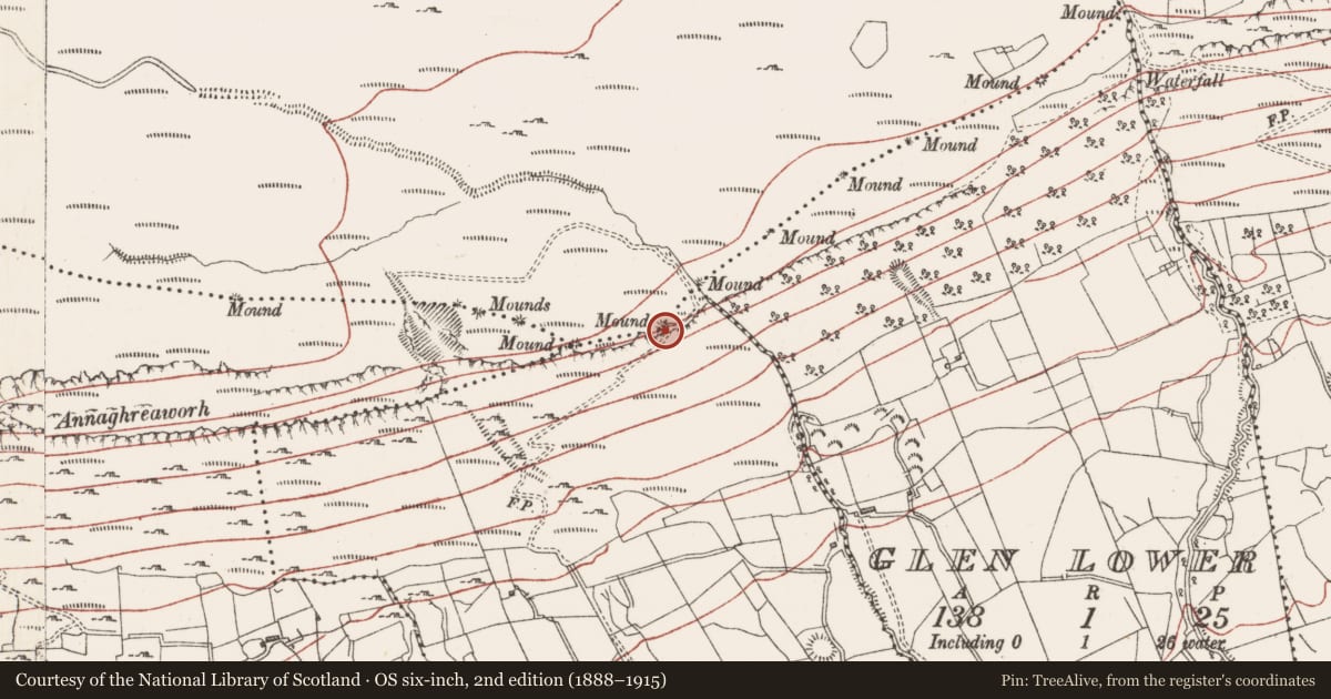 Ordnance Survey six-inch map, 2nd edition (1888–1915) covering the location of Boundary mound, Creaghadoo, Slievemore Or Kingsmountain, County Sligo, with a pin at the register's coordinates