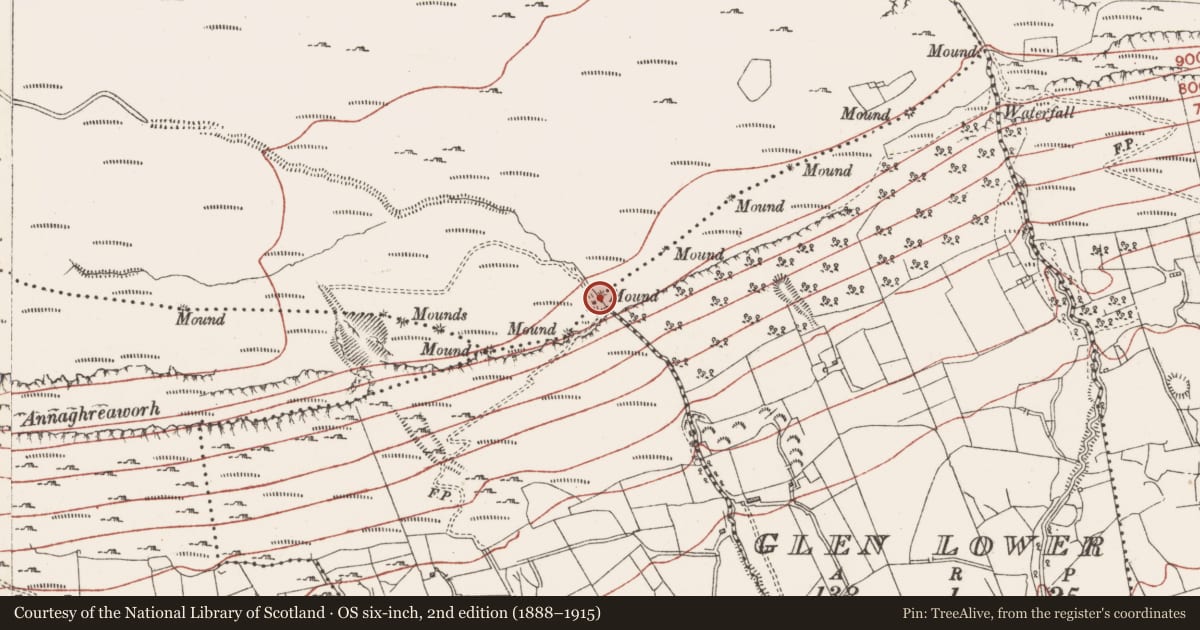 Ordnance Survey six-inch map, 2nd edition (1888–1915) covering the location of Boundary mound, Glen Lower, Slievemore Or Kingsmountain, County Sligo, with a pin at the register's coordinates
