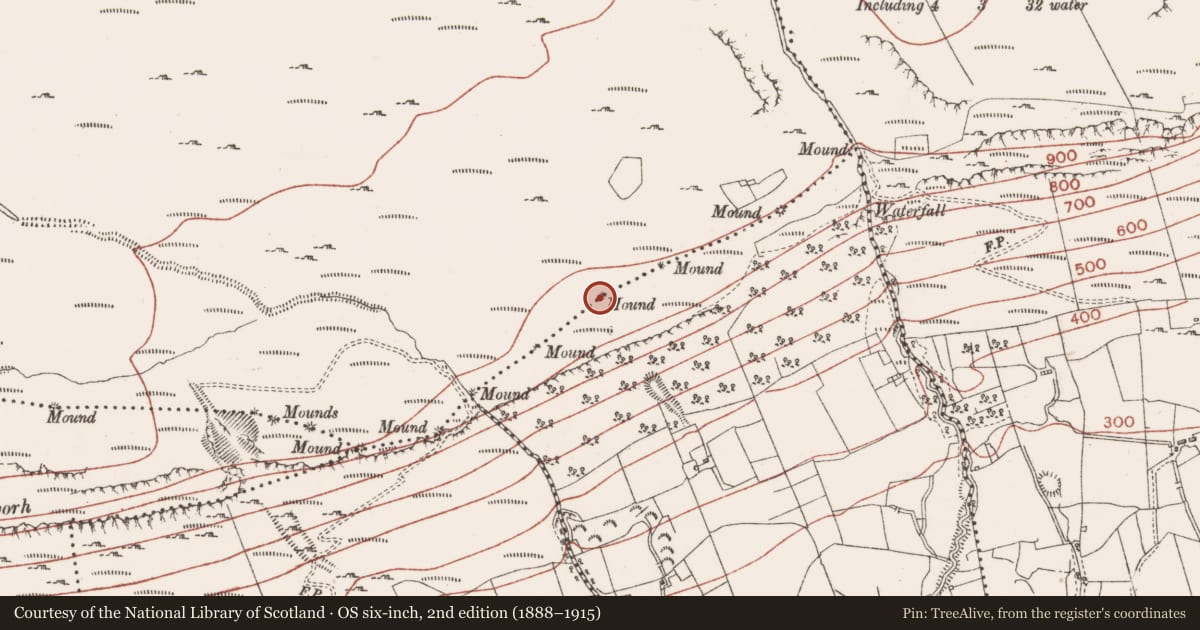 Ordnance Survey six-inch map, 2nd edition (1888–1915) covering the location of Boundary mound, Glen Lower, Slievemore Or Kingsmountain, County Sligo, with a pin at the register's coordinates