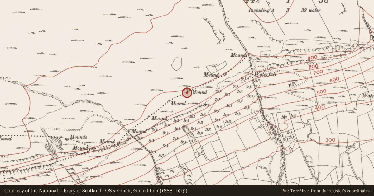 Ordnance Survey six-inch map, 2nd edition (1888–1915) covering the location of Boundary mound, Glen Lower, Slievemore Or Kingsmountain, County Sligo, with a pin at the register's coordinates