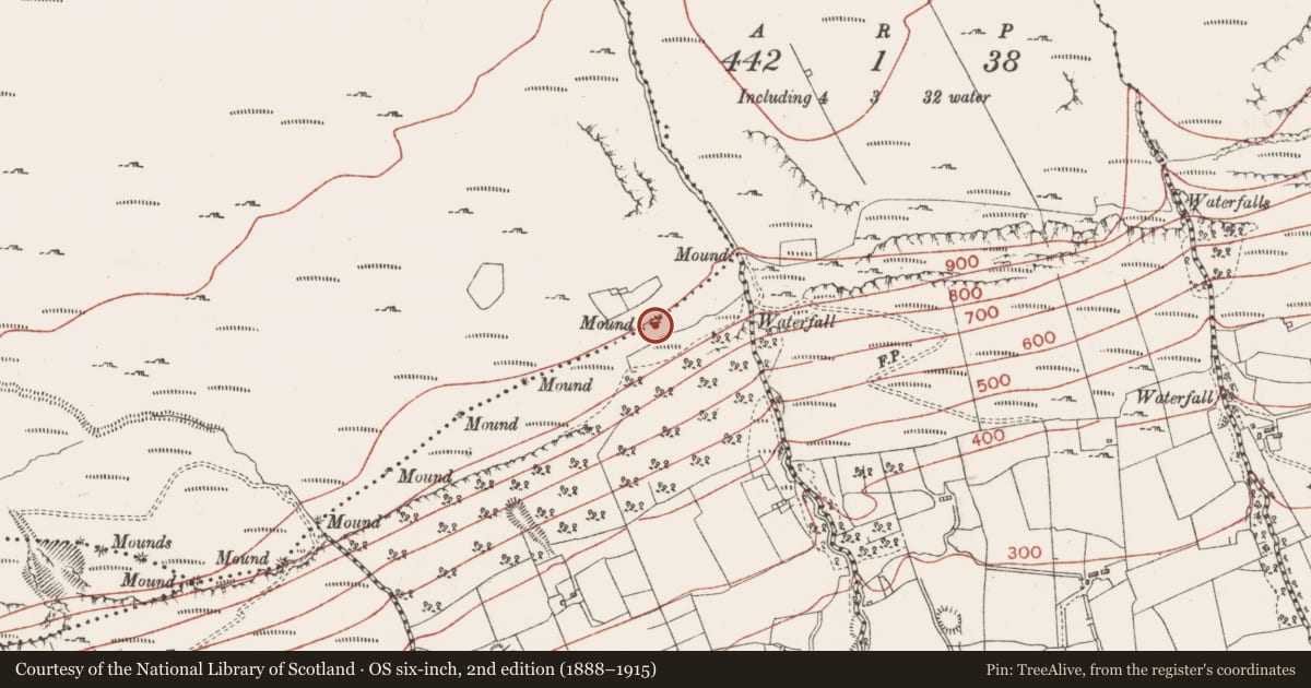 Ordnance Survey six-inch map, 2nd edition (1888–1915) covering the location of Boundary mound, Glen Lower, Slievemore Or Kingsmountain, County Sligo, with a pin at the register's coordinates