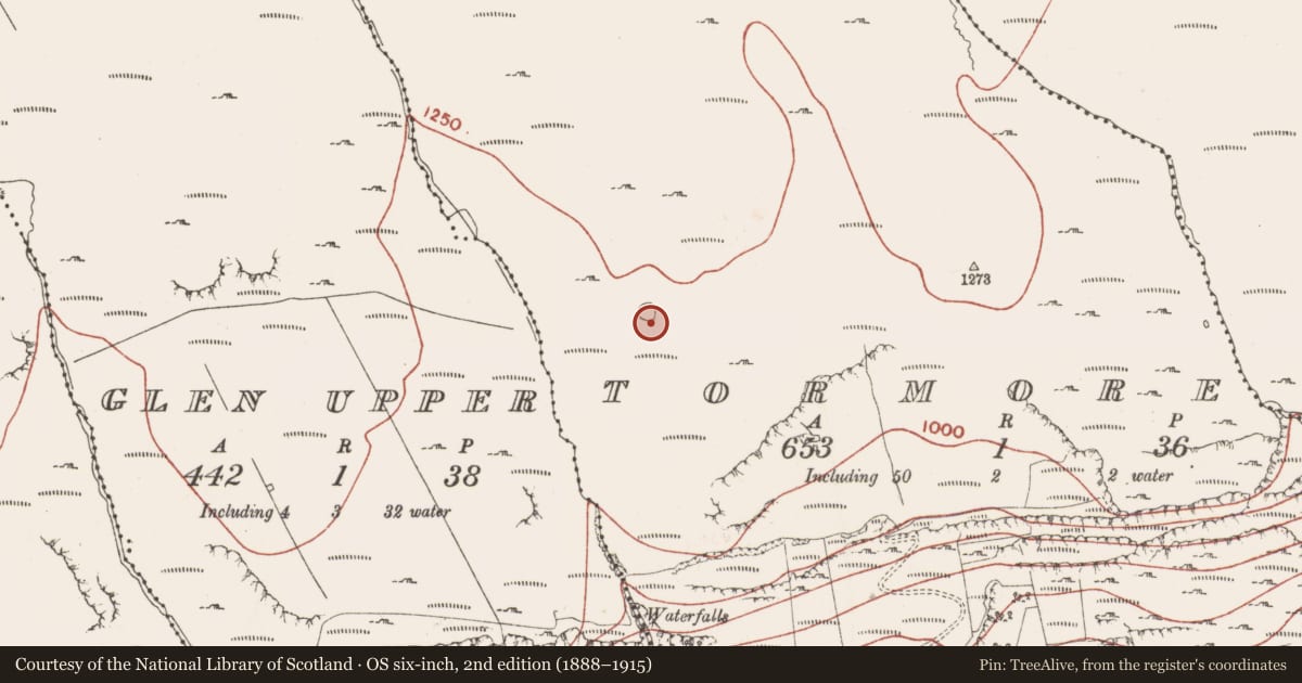 Ordnance Survey six-inch map, 2nd edition (1888–1915) covering the location of Field boundary, Tormore, County Sligo, with a pin at the register's coordinates