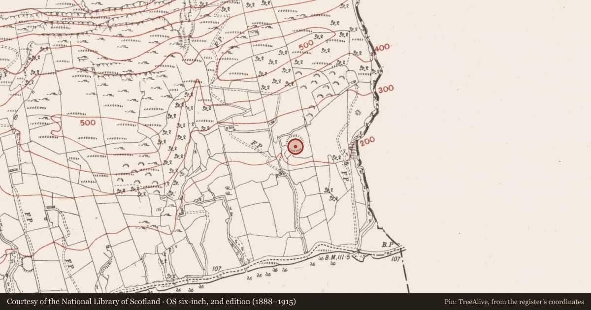 Ordnance Survey six-inch map, 2nd edition (1888–1915) covering the location of Ringfort - rath, Tormore, County Sligo, with a pin at the register's coordinates
