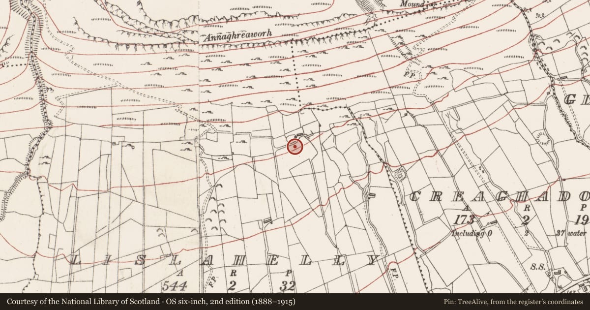 Ordnance Survey six-inch map, 2nd edition (1888–1915) covering the location of Ringfort - cashel, Lislahelly, County Sligo, with a pin at the register's coordinates