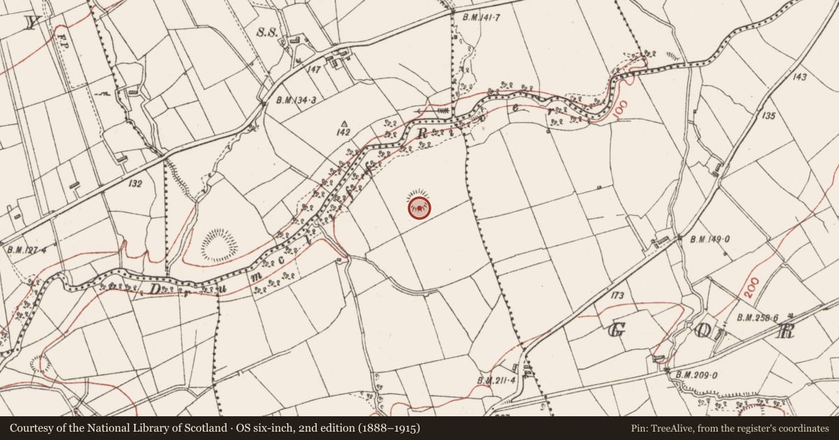 Ordnance Survey six-inch map, 2nd edition (1888–1915) covering the location of Ringfort - rath, Lugnagall, County Sligo, with a pin at the register's coordinates