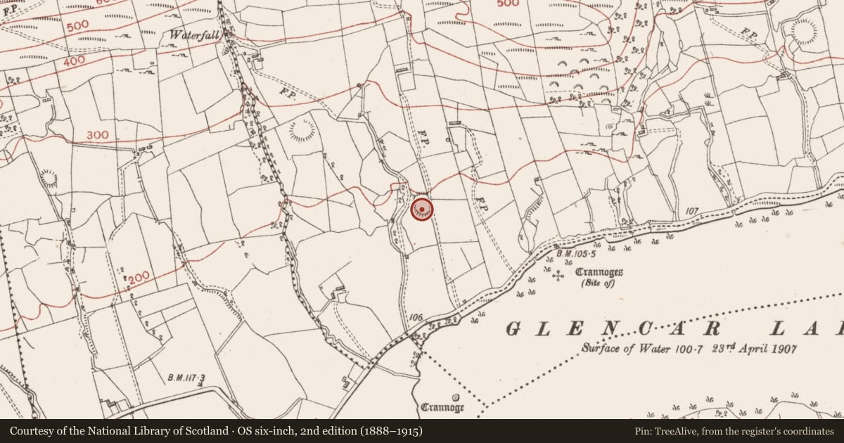 Ordnance Survey six-inch map, 2nd edition (1888–1915) covering the location of Ringfort - rath, Tormore, County Sligo, with a pin at the register's coordinates