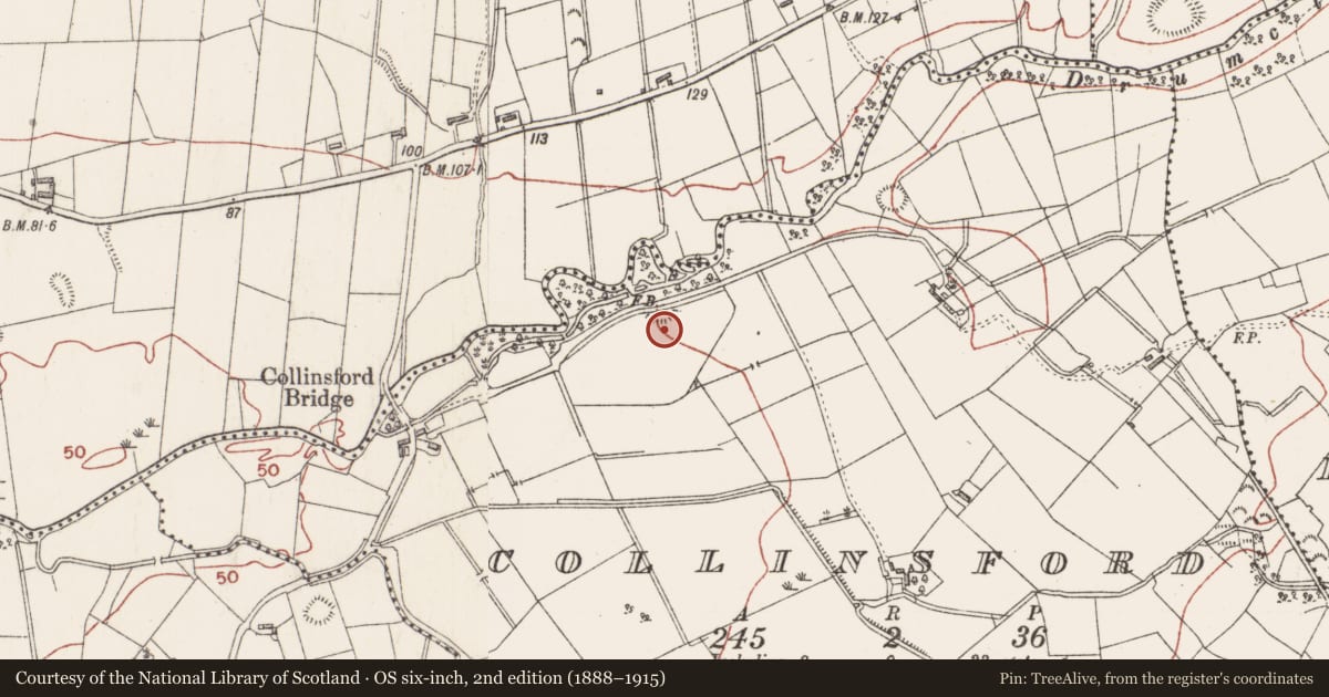 Ordnance Survey six-inch map, 2nd edition (1888–1915) covering the location of Enclosure, Collinsford, County Sligo, with a pin at the register's coordinates